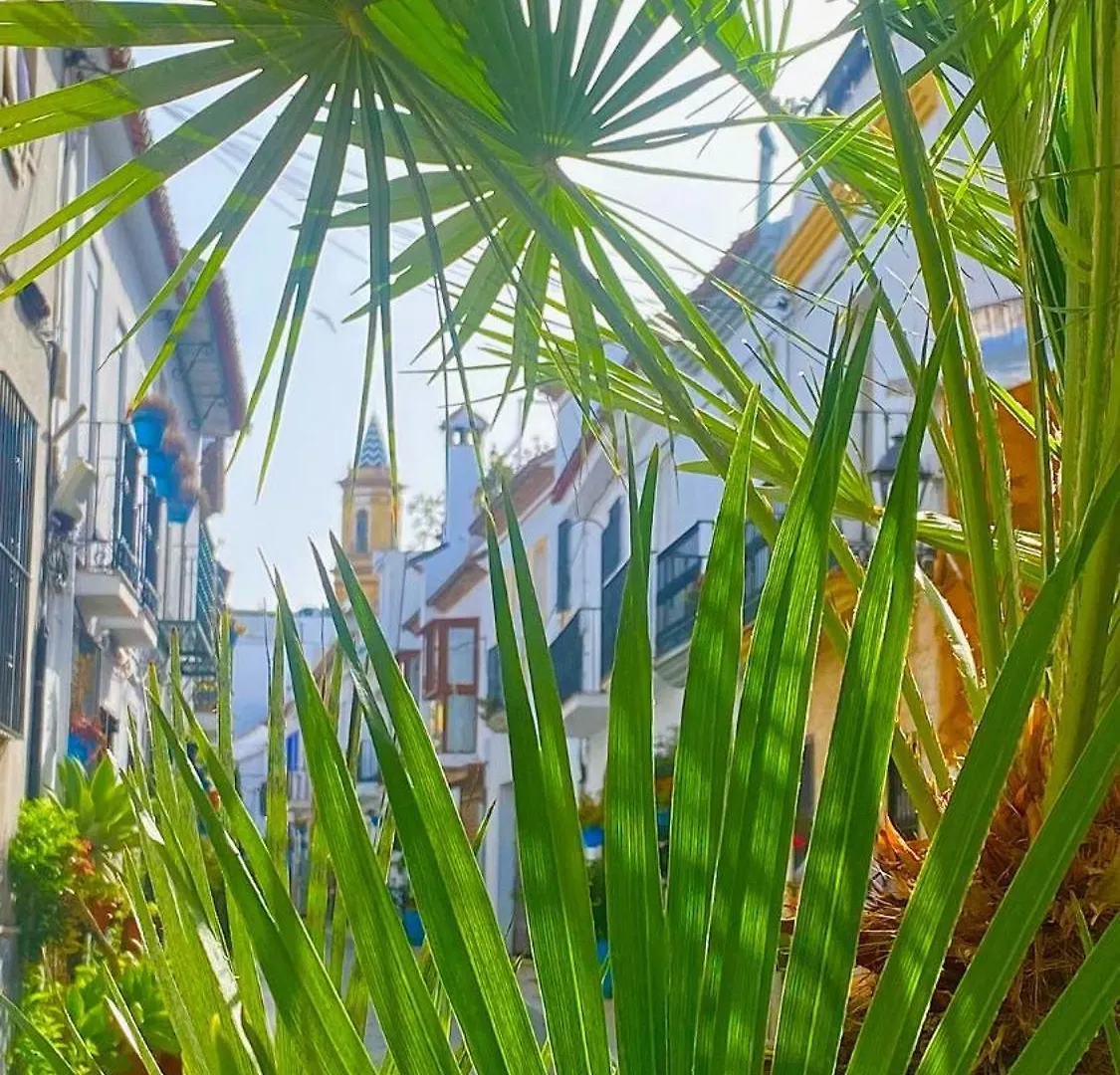 Loving Mediterranean Home Estepona Spain