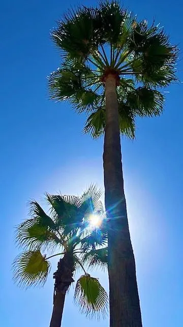 Loving Mediterranean Home Estepona Spain